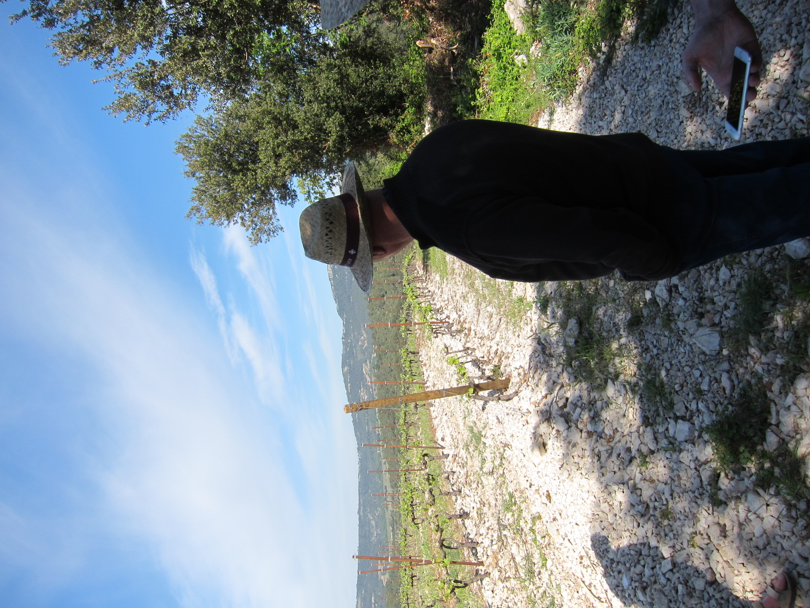 Bernard Durand looks out on his limestone filled Chateau de Lancyre vineyards in Pic Saint-Loup.