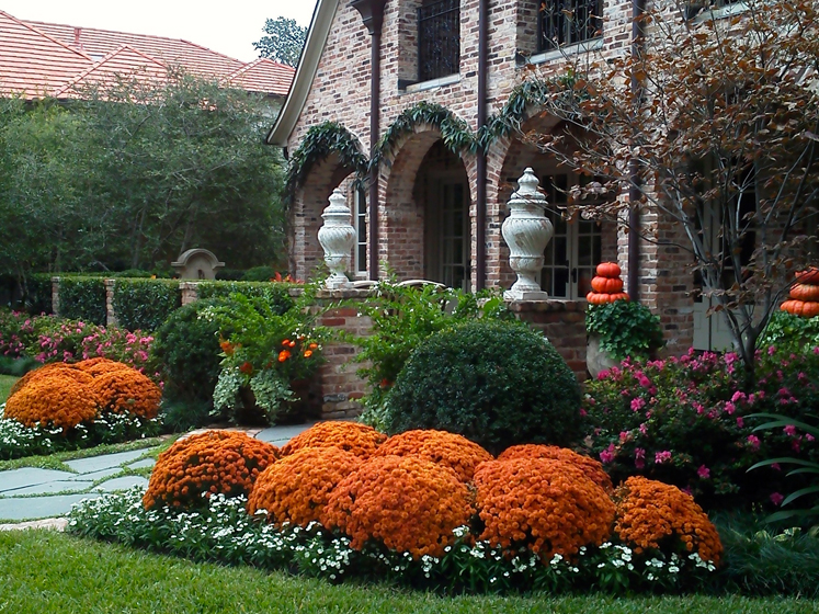 Ten Ideas to Refresh Your Garden for Fall - D Magazine