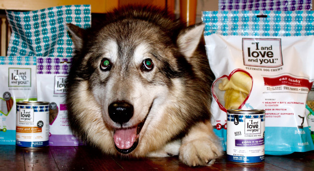 Chaco is a fan of I and Love and You's line of dog food. He is not a fan, however, of cameras.