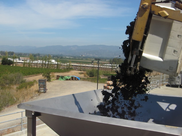 De-stemming our Pinot Noir fruit at the winery before fermentation starts. 