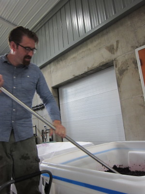 Betz Winery Assistant Winemaker Lewis Skinner punches down fermenting merlot grapes.