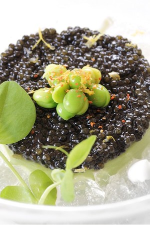 Pea custard caviar. (Photography by Kevin Marple)