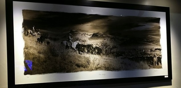 One of Gary Hawn's gorgeous Texas portraits at Fall Creek Vineyards 