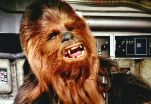 Wookie Here: This character from Star Wars is named Chewbacca, is a hundred years old, and is something called a 