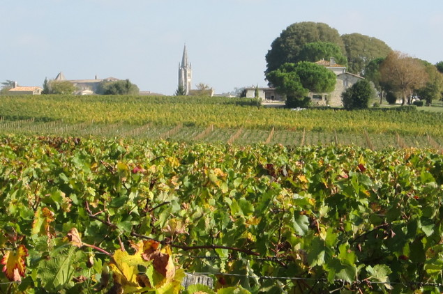 Chateau Coutet vineyards looking out to St. Emilion