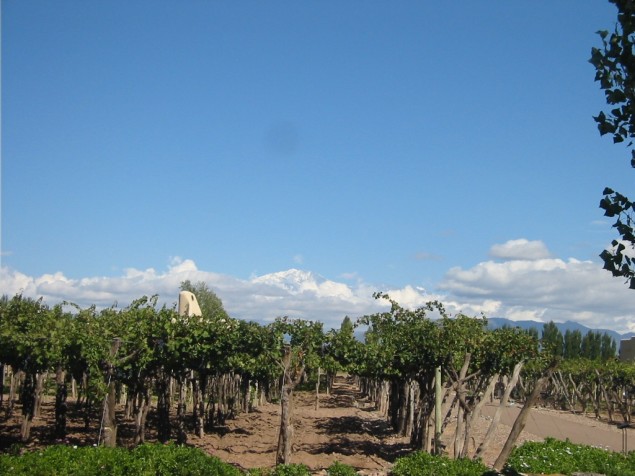 Mendoza, Argentina