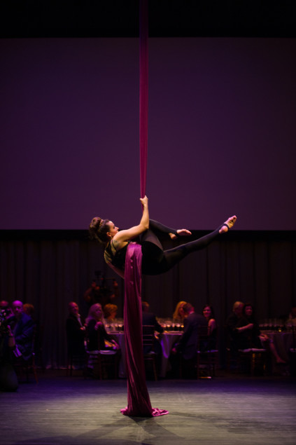 Aerial Silk Performer