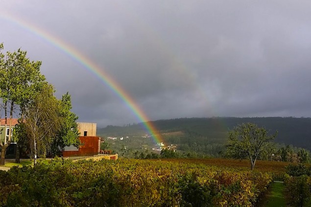 Quinta da Lixa Monverde - Wine Experience Hotel in Aramante, Portugal 