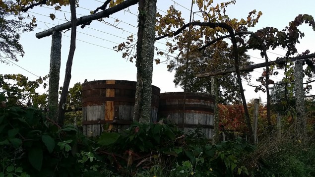 Wine vats under the enfracado in Amarante, Portugal