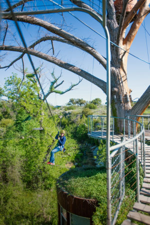 The longest zip line at Cypress Valley is more than 350 feet.
