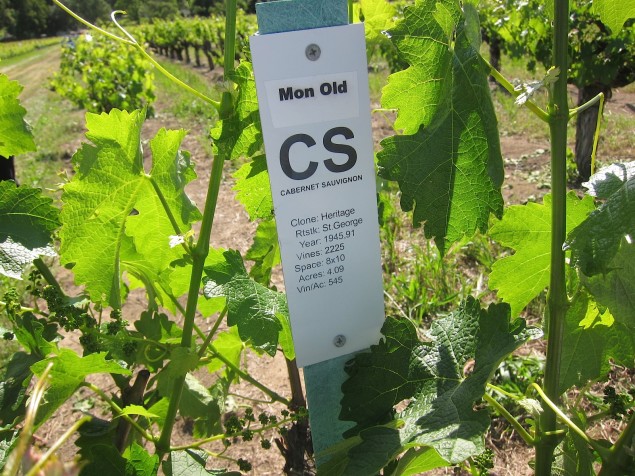 Old vine, To Kalon Vineyard Cabernet Sauvignon