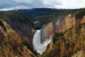 The Grand Canyon of the Yellowstone is about 24 miles long.