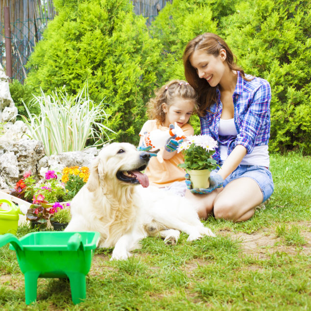 family planting with dog