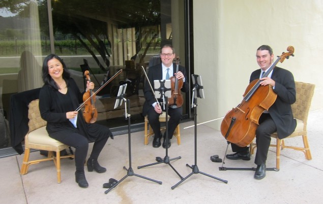 Strings trio for the Maestro luncheon at the winery.