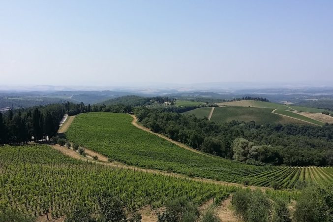 Chianti Classico, Tuscany, Italy; all photos by Hayley Hamilton Cogill