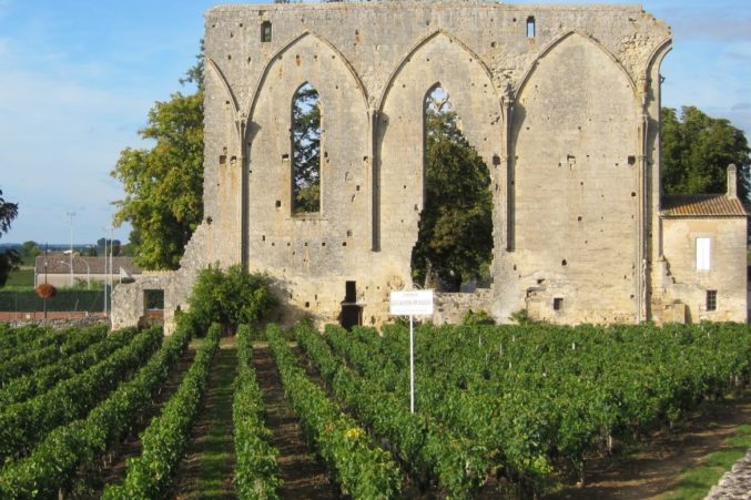 St Emilion, Bordeaux, France; photo by Hayley Hamilton Cogill