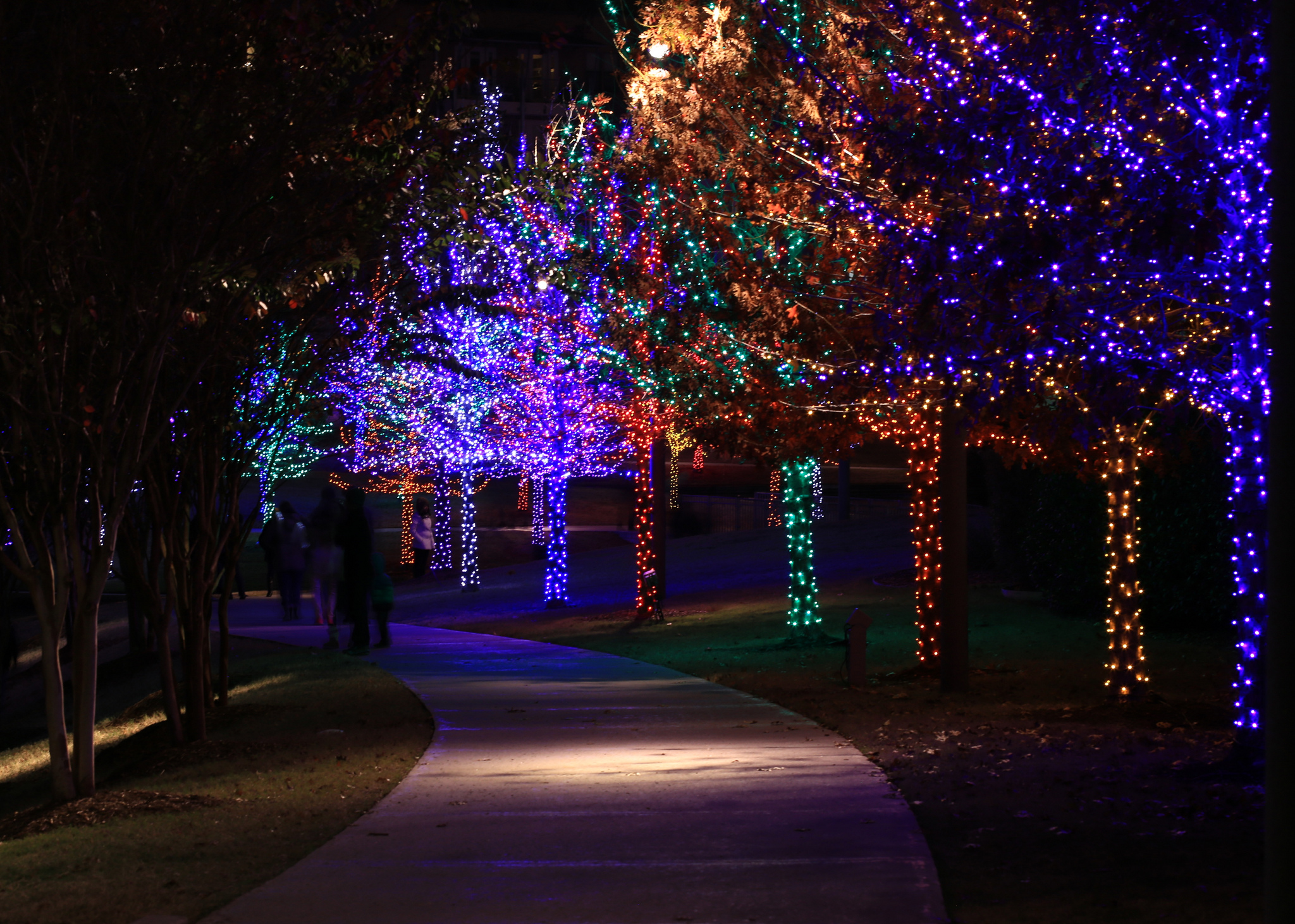 Things To Do In Dallas Tonight Nov 28 D Magazine