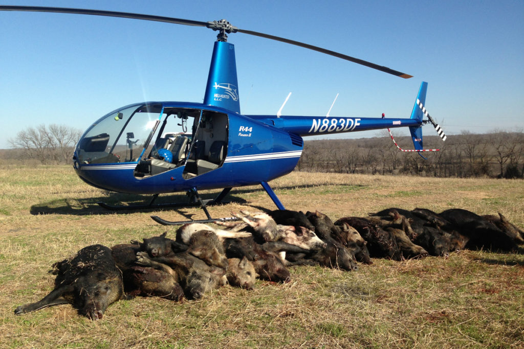 Chop Chop: Ennis rancher Craig Meier's Heli-Hunter company charges groups up to $15,000 to kill hogs in aerial hunts. He books his entire season—with shooters from as far away as China and Japan—in a week.