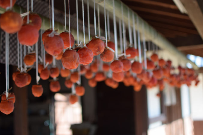 Drying persimmons. (Photo by Flickr user Sayurimats.)
