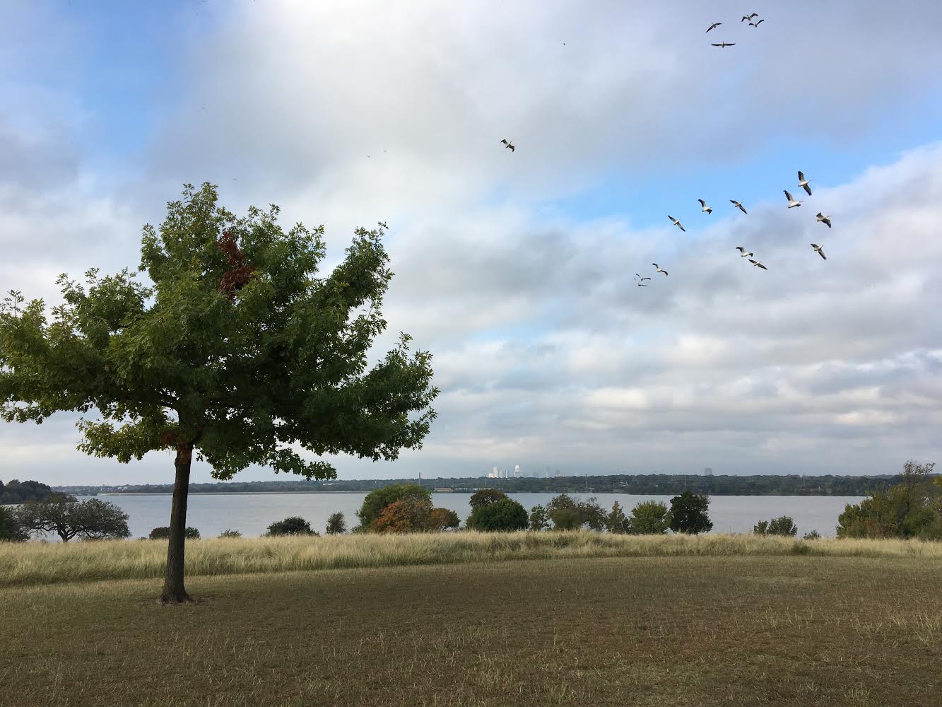 thistle creek dredge location