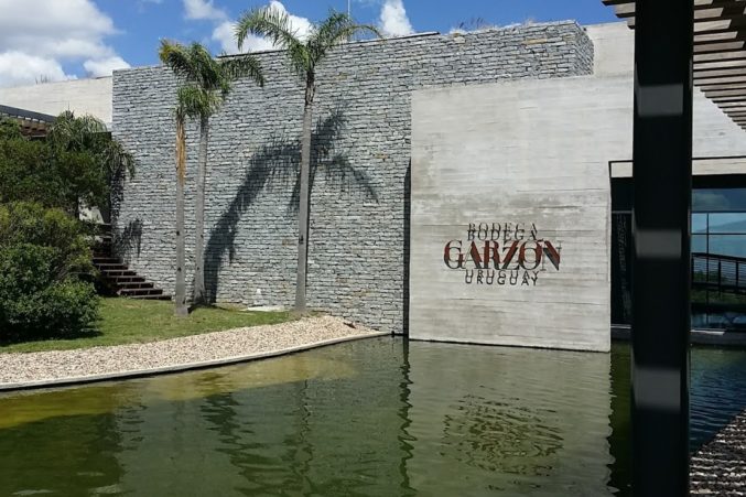 bodega garzon 1