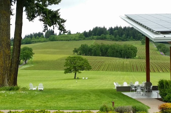 Solar panels on the tasting room at Stoller Family Winery