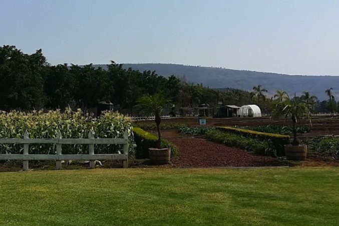 Patron's working garden