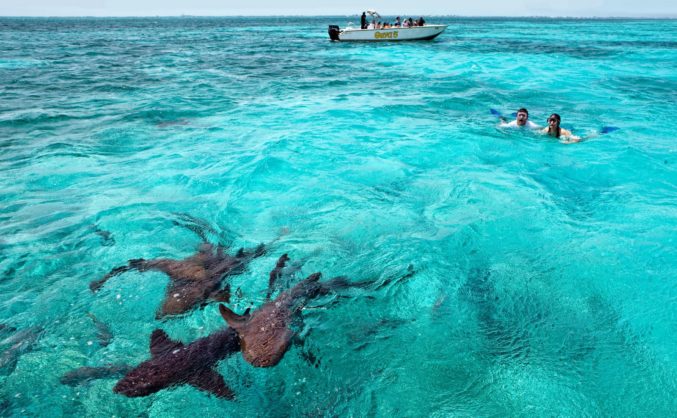 Ambergris Caye, Belize - D Magazine