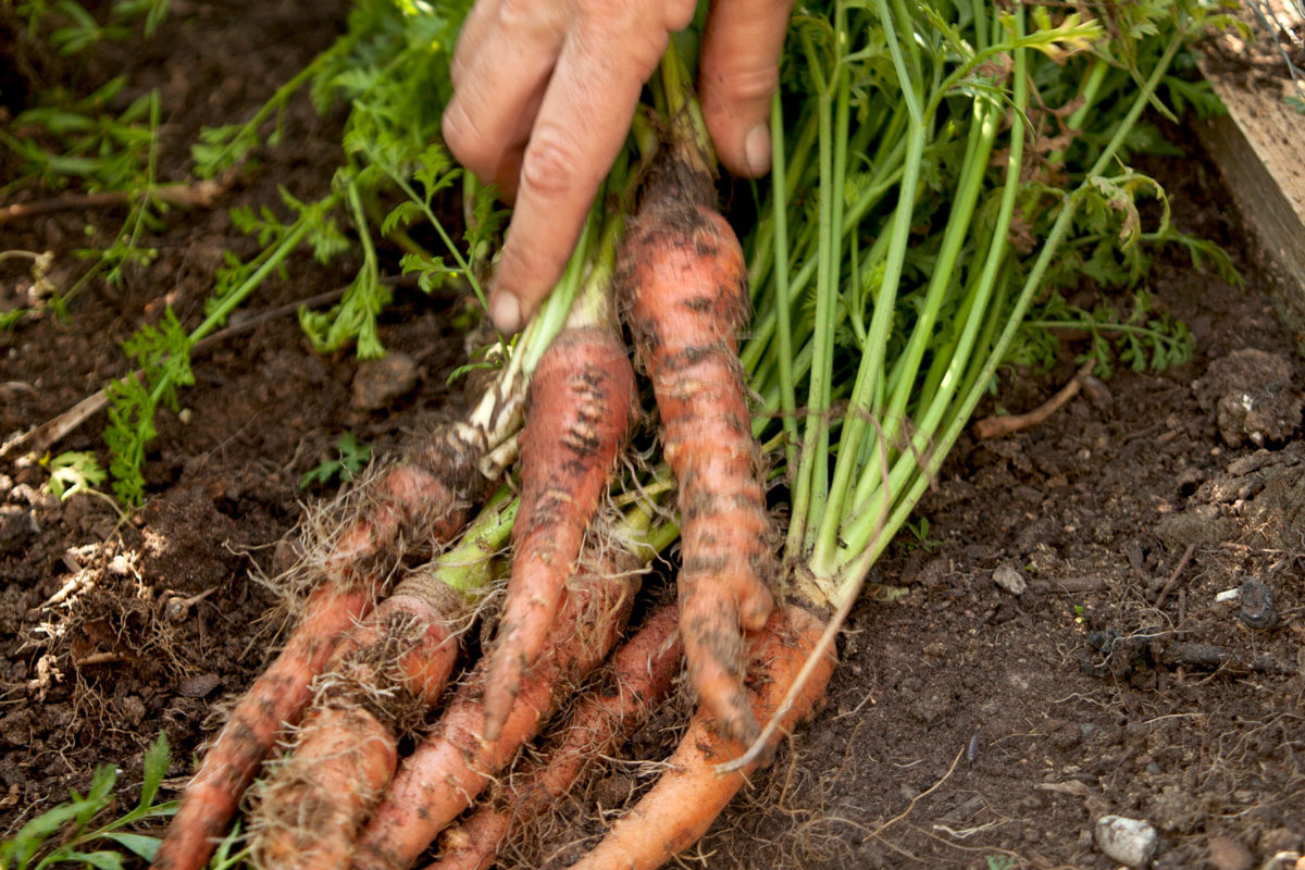 Prep for the Holidays at These Local Cooking Schools - D Magazine