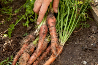 Prep for the Holidays at These Local Cooking Schools - D Magazine