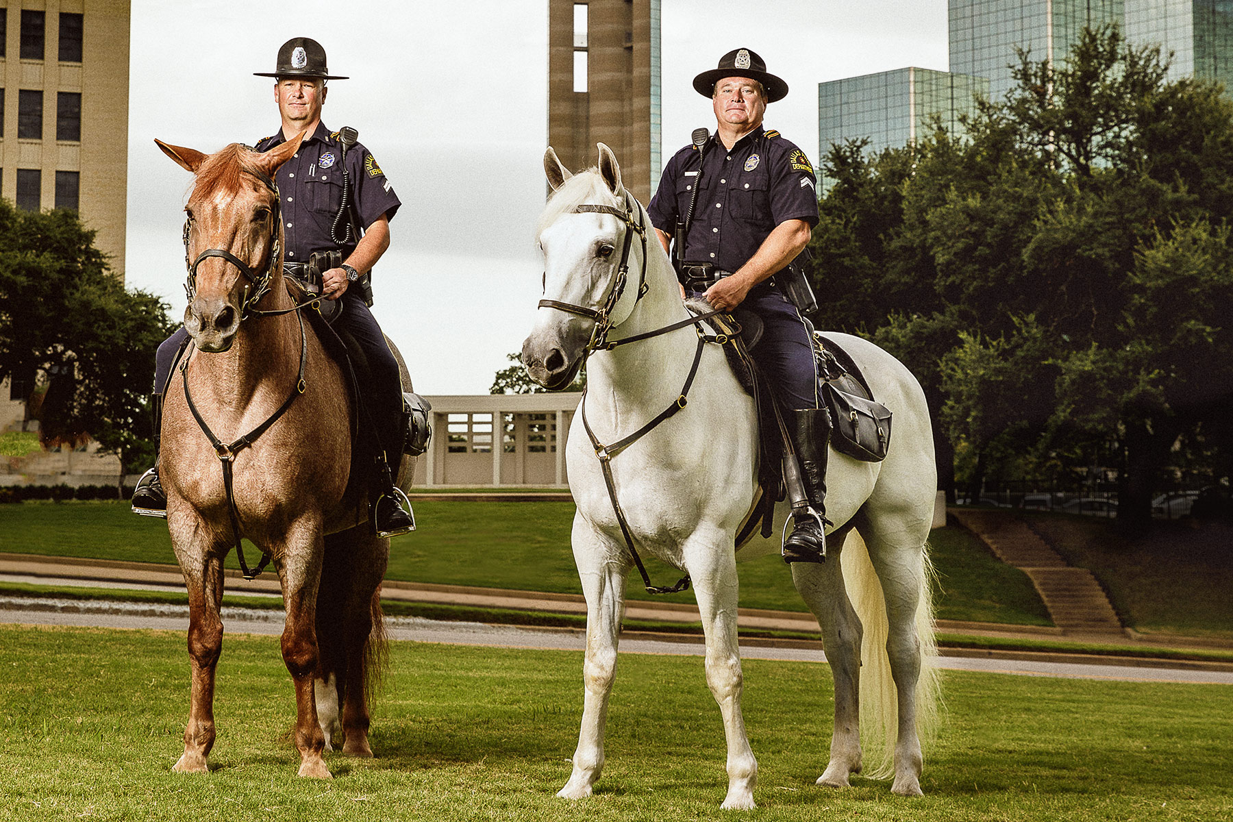 DALLAS TEXAS TX Horse MOUNTED PATROL POLICE PATCH 