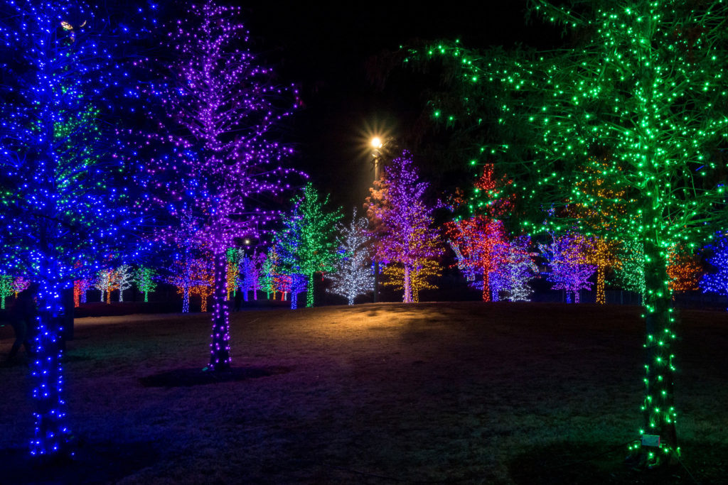 Christmas Lights Dfw 2022 Where To See The Best Christmas Lights In Dallas - D Magazine