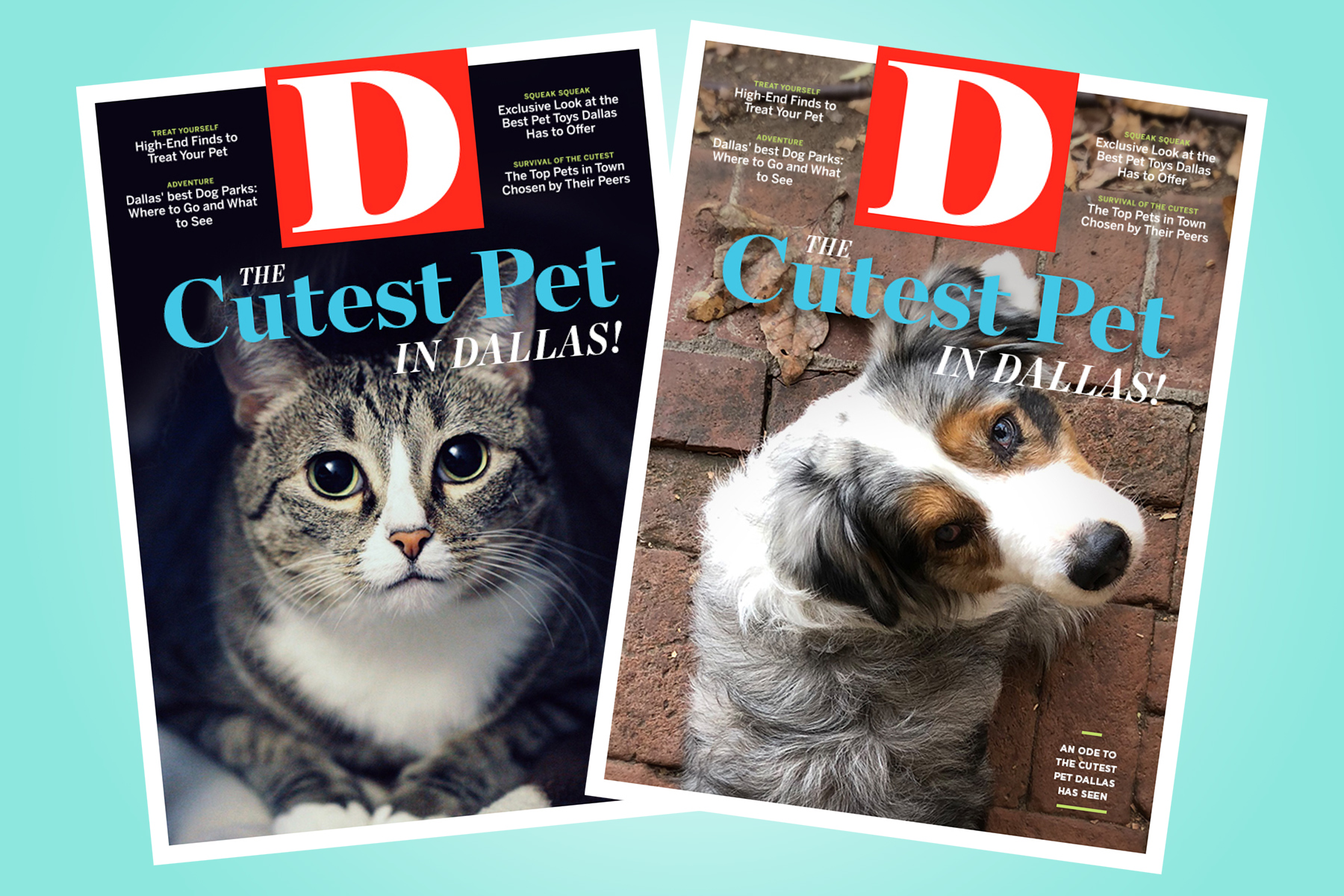 We Want Your Dogs, Cats, Reptiles, Roosters, Birds, and Squirrels