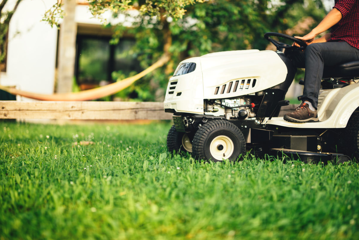 6 Lawn Care Services to Take Your Yard to the Next Level - D Magazine