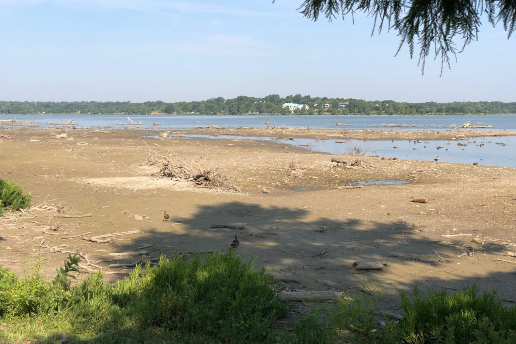 New and Improved White Rock Lake Now With Less Water! D Magazine