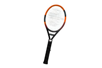 mosquito exterminator racket