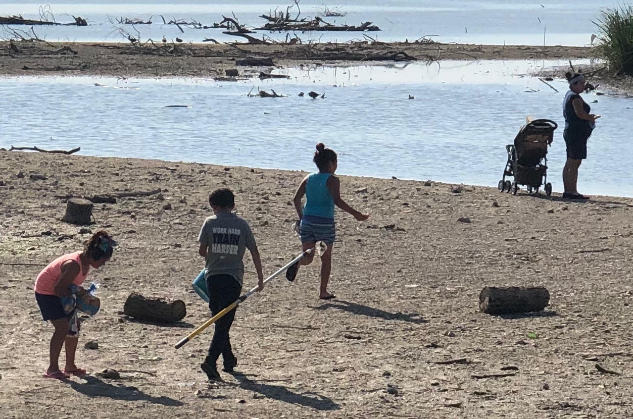 are dogs allowed on white rock beach