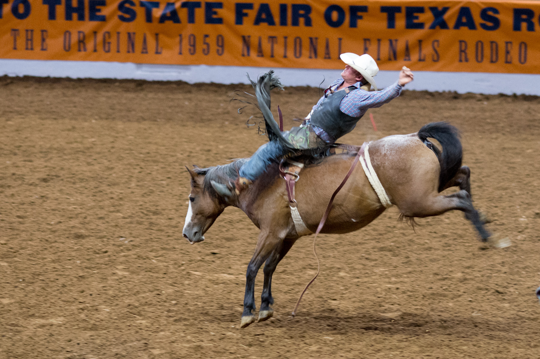 Gallery: A Wild Ride at the State Fair of Texas Rodeo - D Magazine