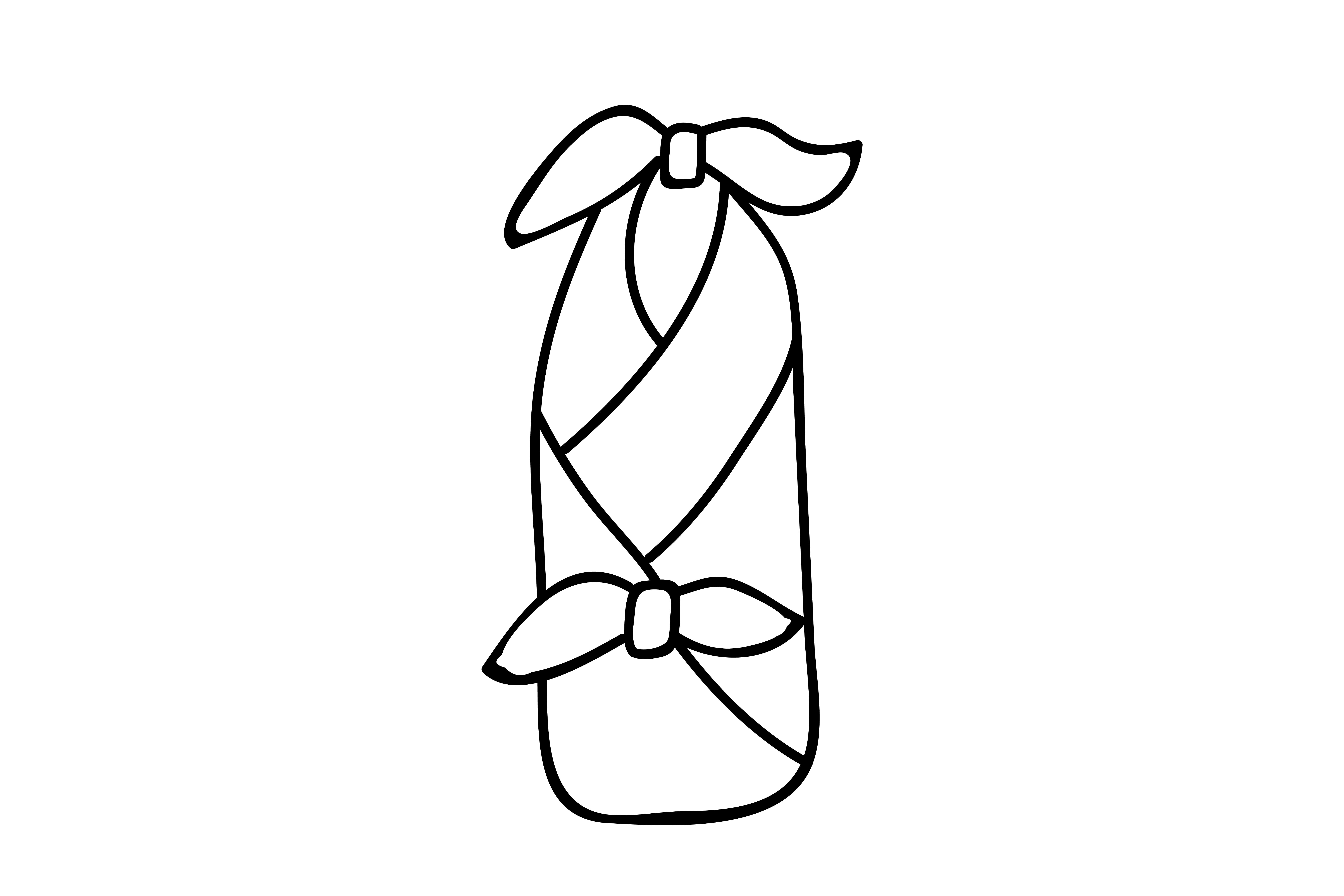 furoshiki bin tsutsumi wrapping diagram step5