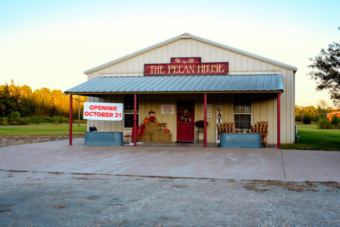 the pecan house mineola