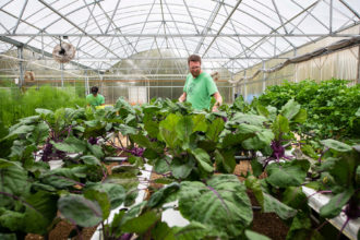 Profound ventilated greenhouse