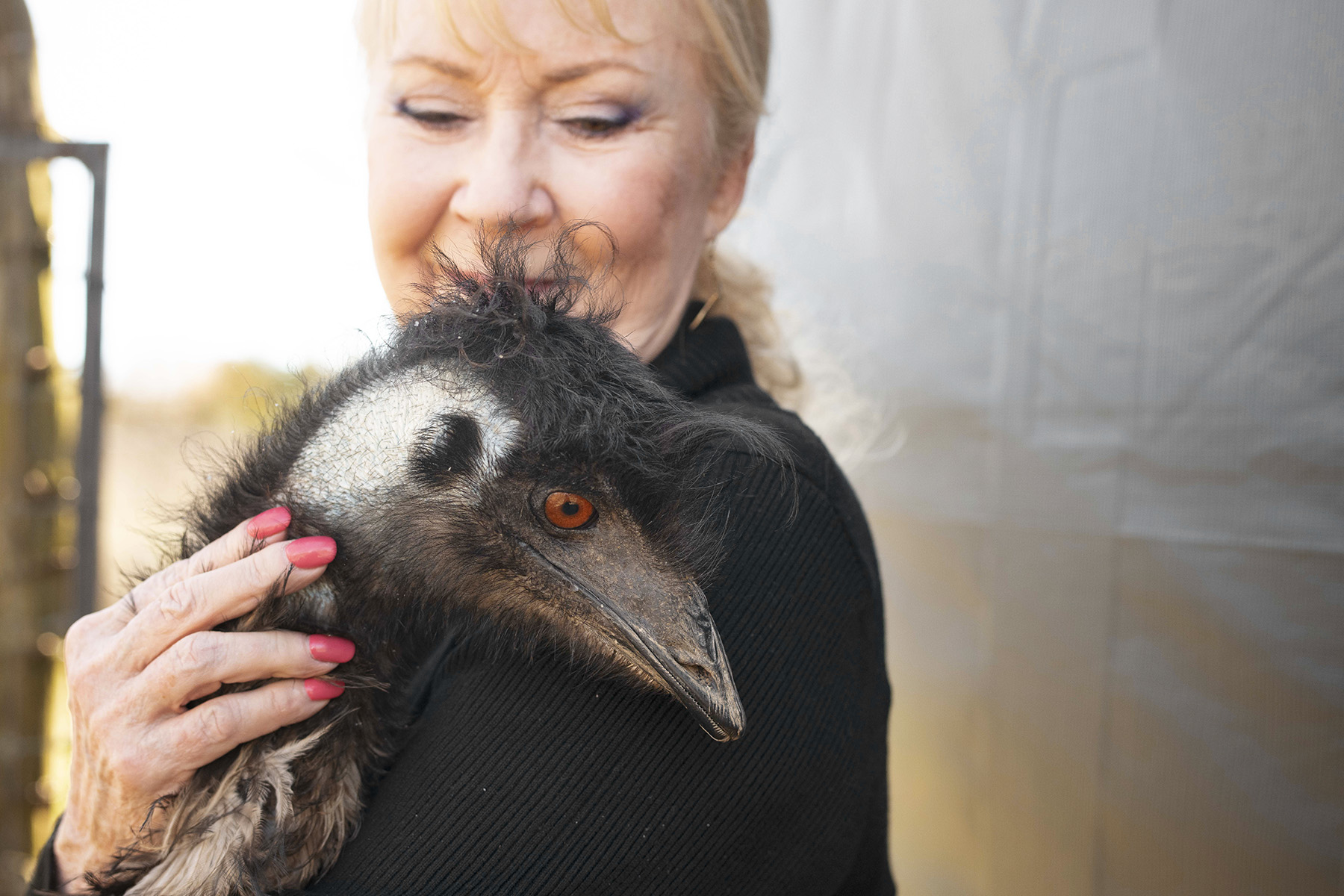 Kathy Rogers, Founder of Rogers Wildlife Rehabilitation Center, Dies at