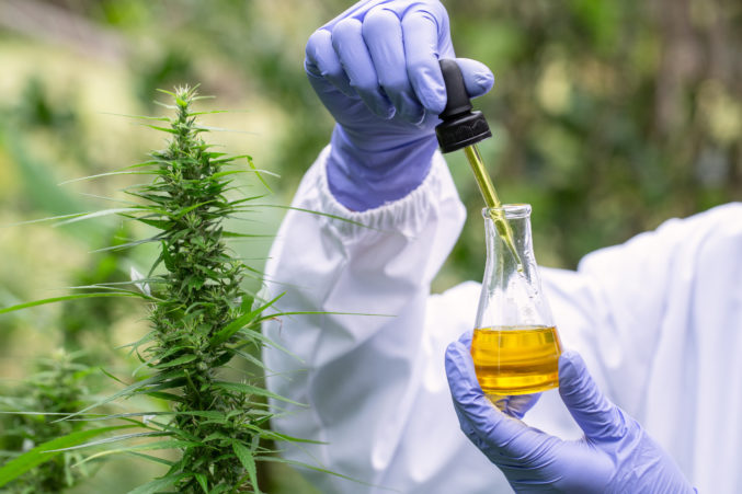 Hemp oil, marijuana oil bottle, cannabis oil extracts in jars, medical  marijuana, cbd oil pipette- CanStock