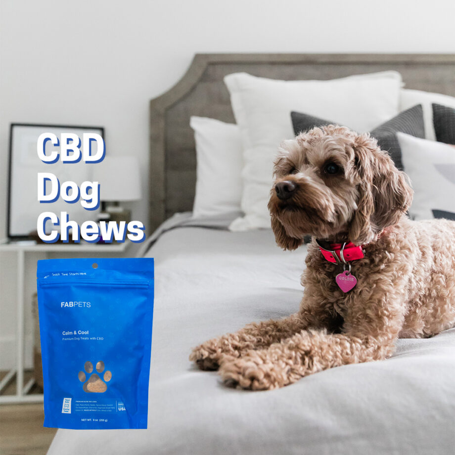 Best CBD Dog Treats Organic Hemp Treats D Magazine