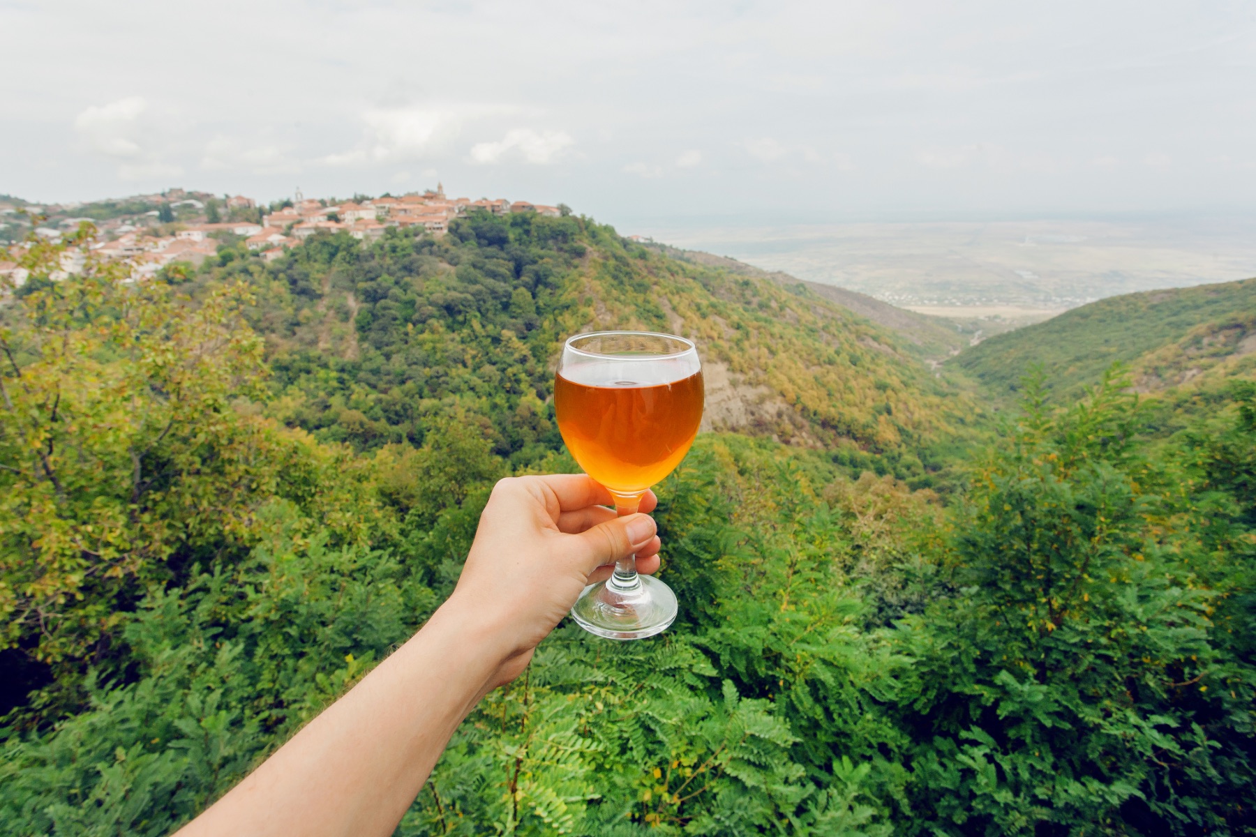 Someone holds a glass of blush wine out in front of them from a vista point; behind the glass is lush hills and green mountains.
