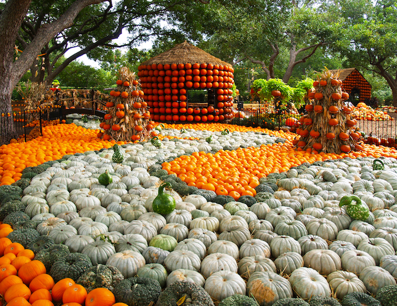 pumpkin-village