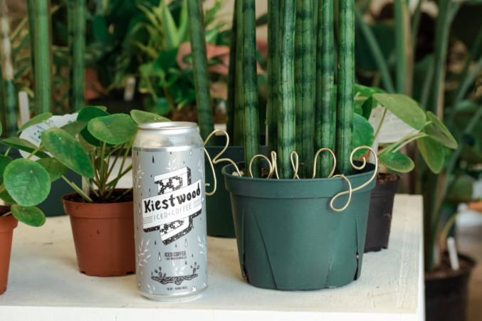 A table of plants with a can of Kiestwood Iced Coffee