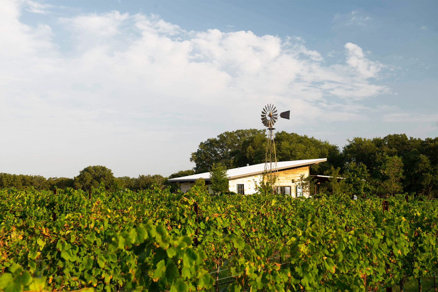 The 15 Texas Hill Country Wineries You Must Visit Now - D Magazine