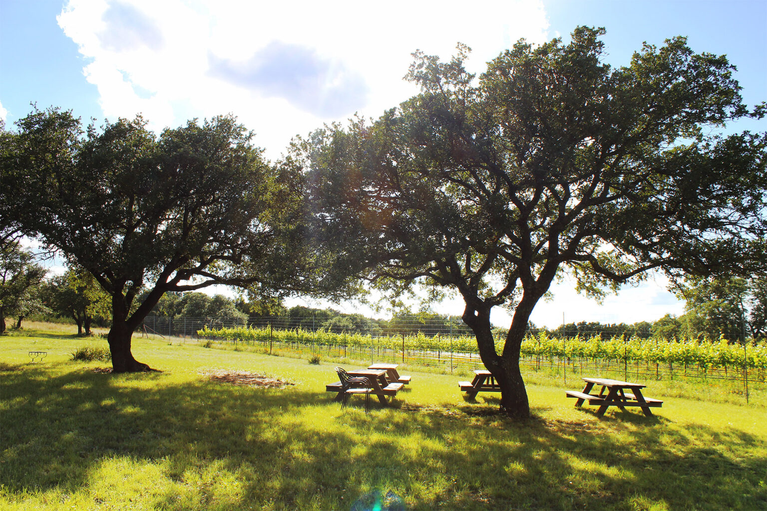 texas hill country wineries
