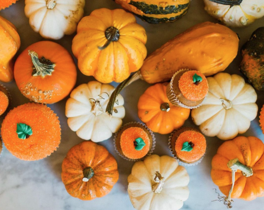 Bird Bakery's Elizabeth Chambers on Why Her Sugar Cookies Are the Best ...